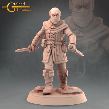 Bandit 1 - Modular